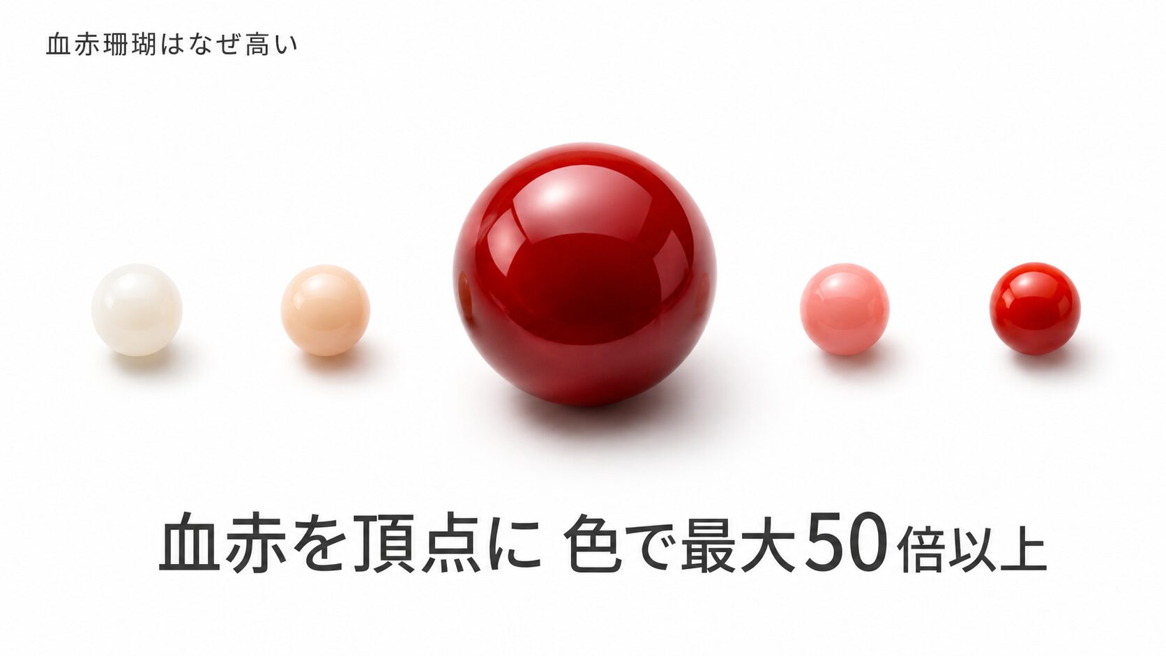血赤珊瑚はなぜ高い｜赤・桃・ボケ・白との色評価の違いと最高評価の