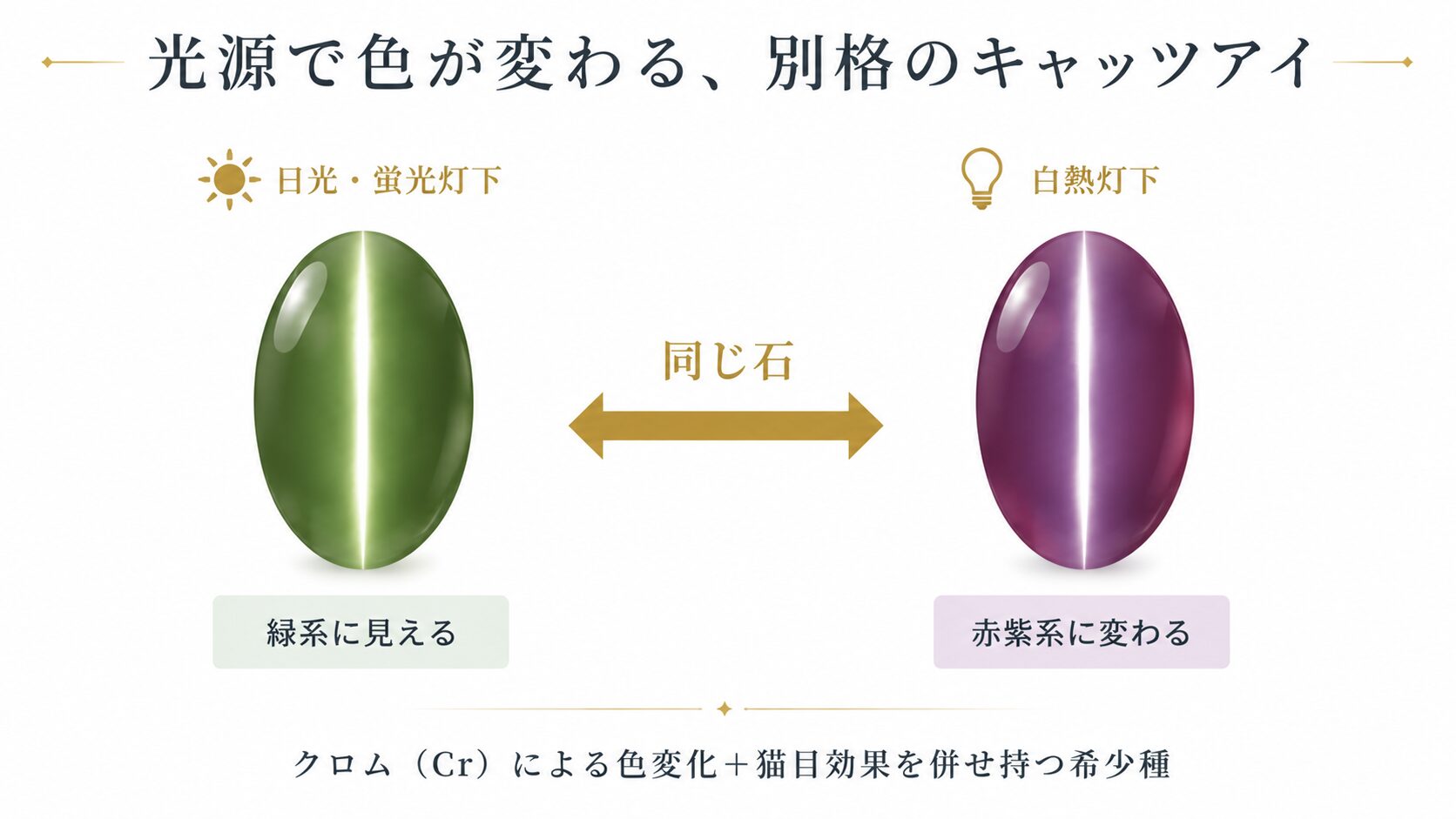 アレキサンドライトキャッツアイの色変化を、日光下（緑系）と白熱灯下（赤紫系）の2条件で並列比較し、クロム由来のカラーチェンジ効果と猫目効果の併存を示した画像。