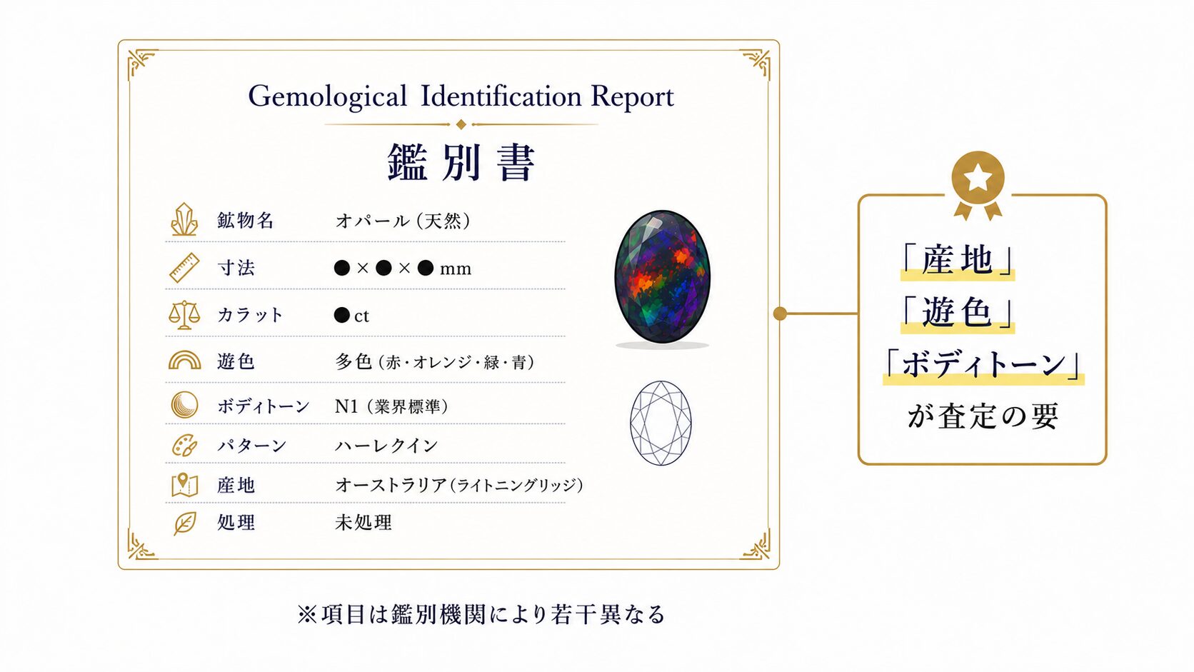 ブラックオパール鑑別書の主な記載項目（鉱物名・遊色・ボディトーン・産地等）を示した図解。