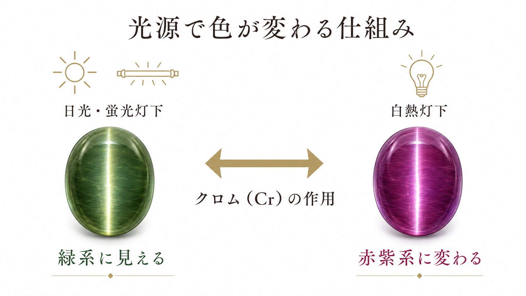 アレキサンドライトキャッツアイの色変化を、日光・蛍光灯下の緑系と白熱灯下の赤紫系の2条件で並列比較し、クロム発色による変化を示した図。