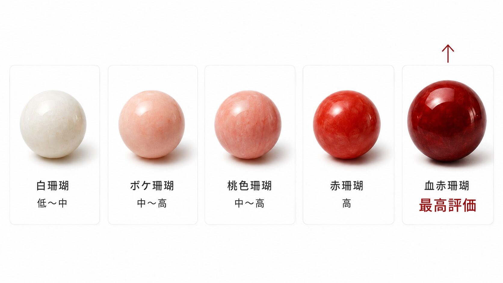 白珊瑚・ボケ珊瑚・桃色珊瑚・赤珊瑚・血赤珊瑚の5段階を色の濃さ順に並べ、血赤が最高評価になることを示した色グレード比較画像。