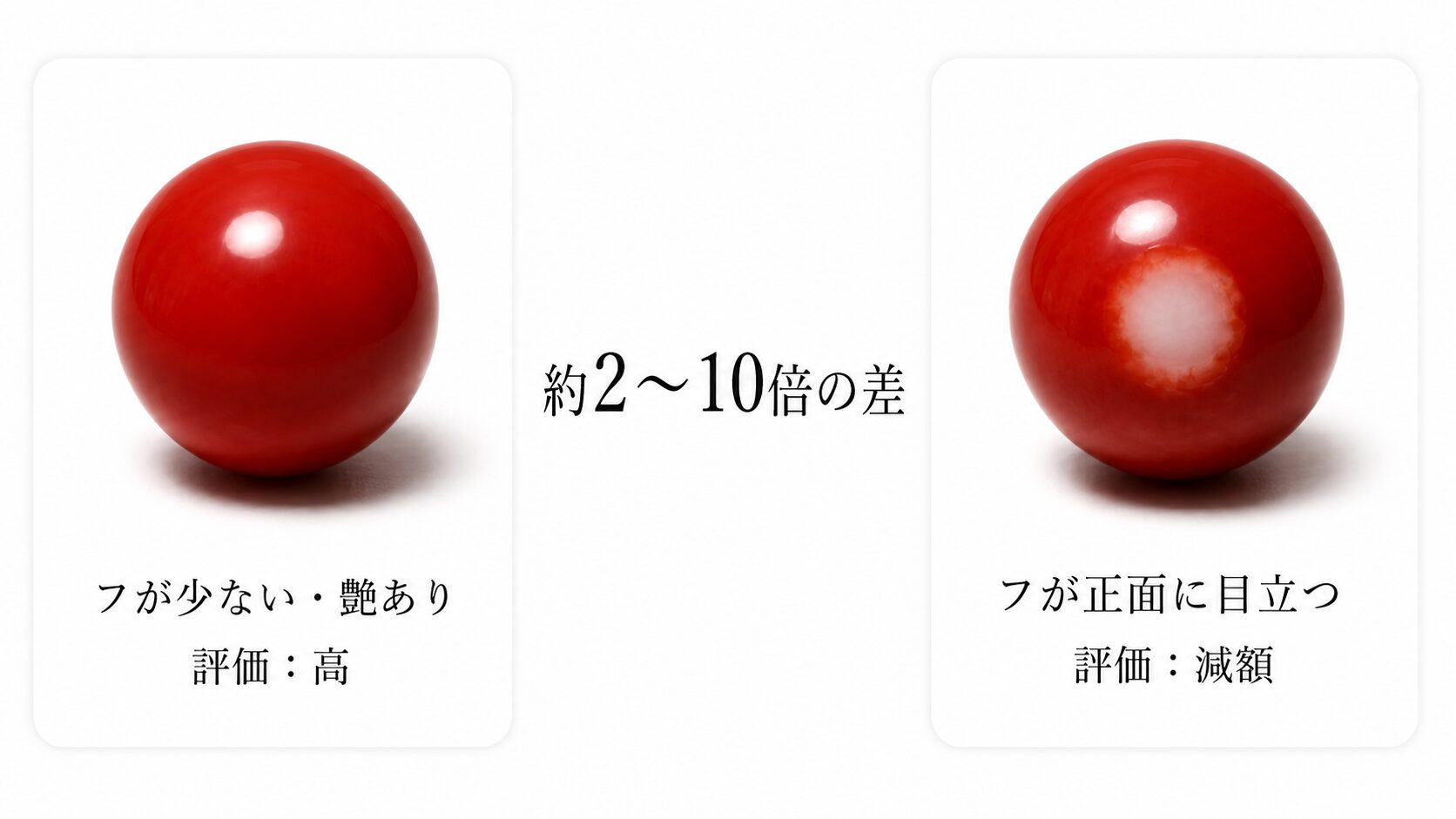血赤珊瑚はなぜ高い｜赤・桃・ボケ・白との色評価の違いと最高評価の