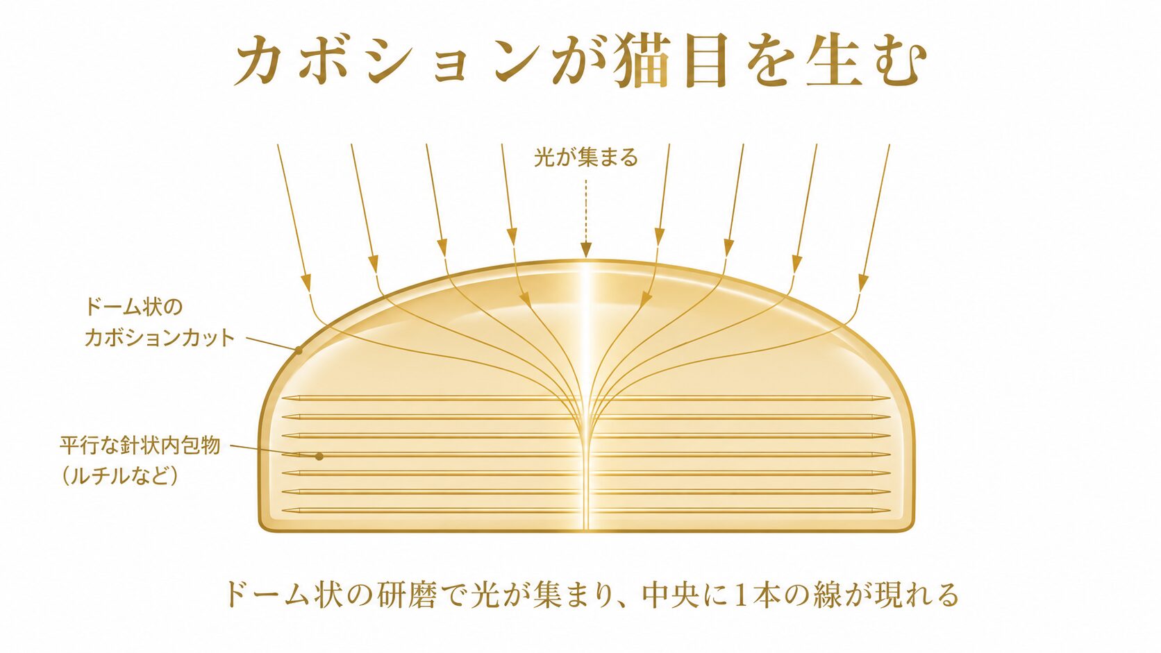 クリソベリルキャッツアイのカボションカットの断面構造を示し、ドーム状の研磨と内部の針状インクルージョンの向きが目の出方を決めることを図解した画像。