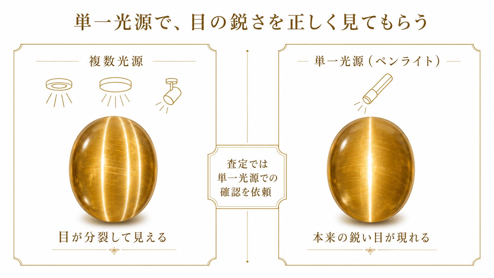 査定時にペンライトなどの単一光源で目の鋭さを確認してもらうよう依頼する様子を示した図。