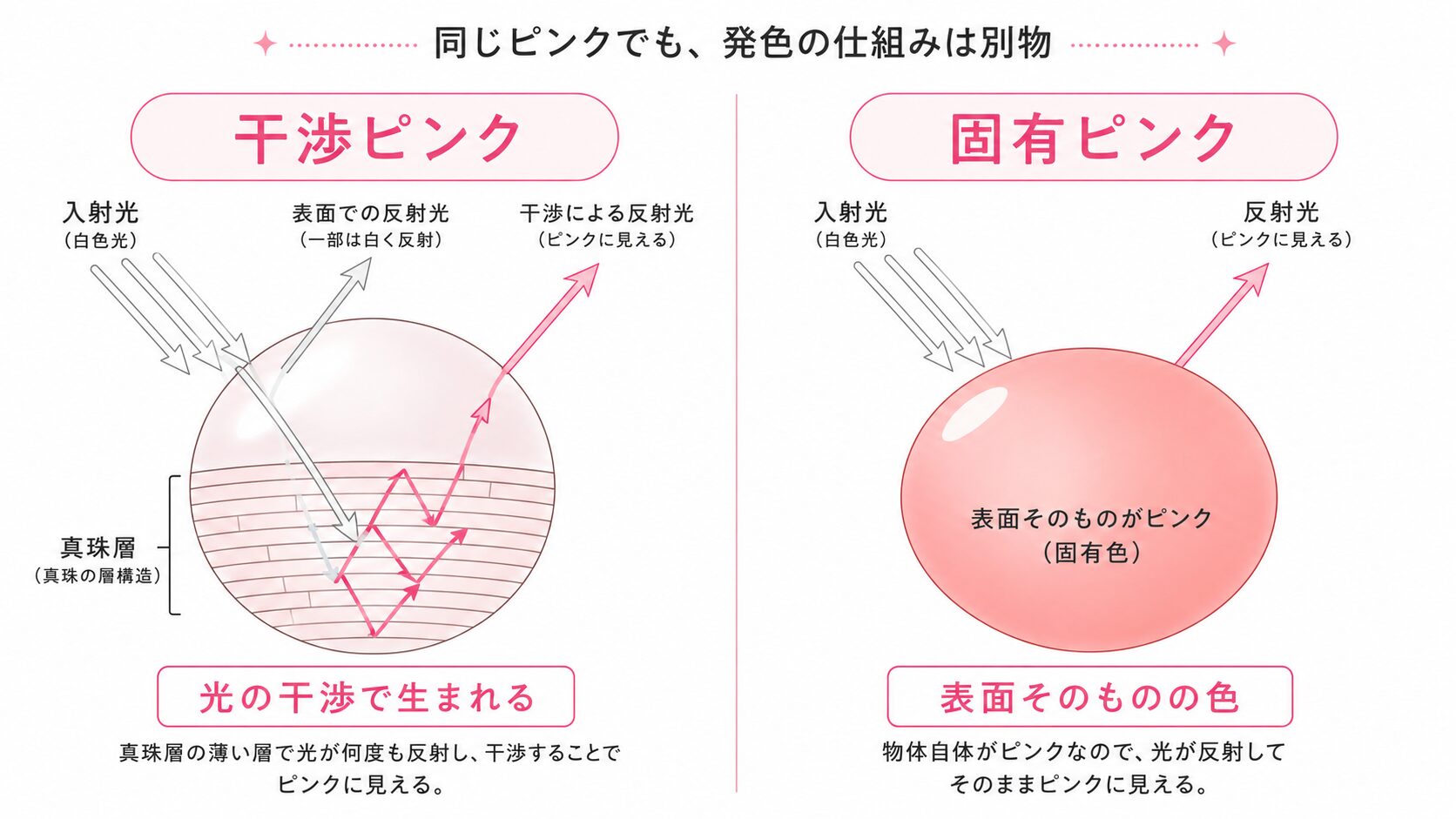 通常真珠の干渉ピンクとコンクパールの固有ピンクの発色の仕組みを示す比較概念図。
