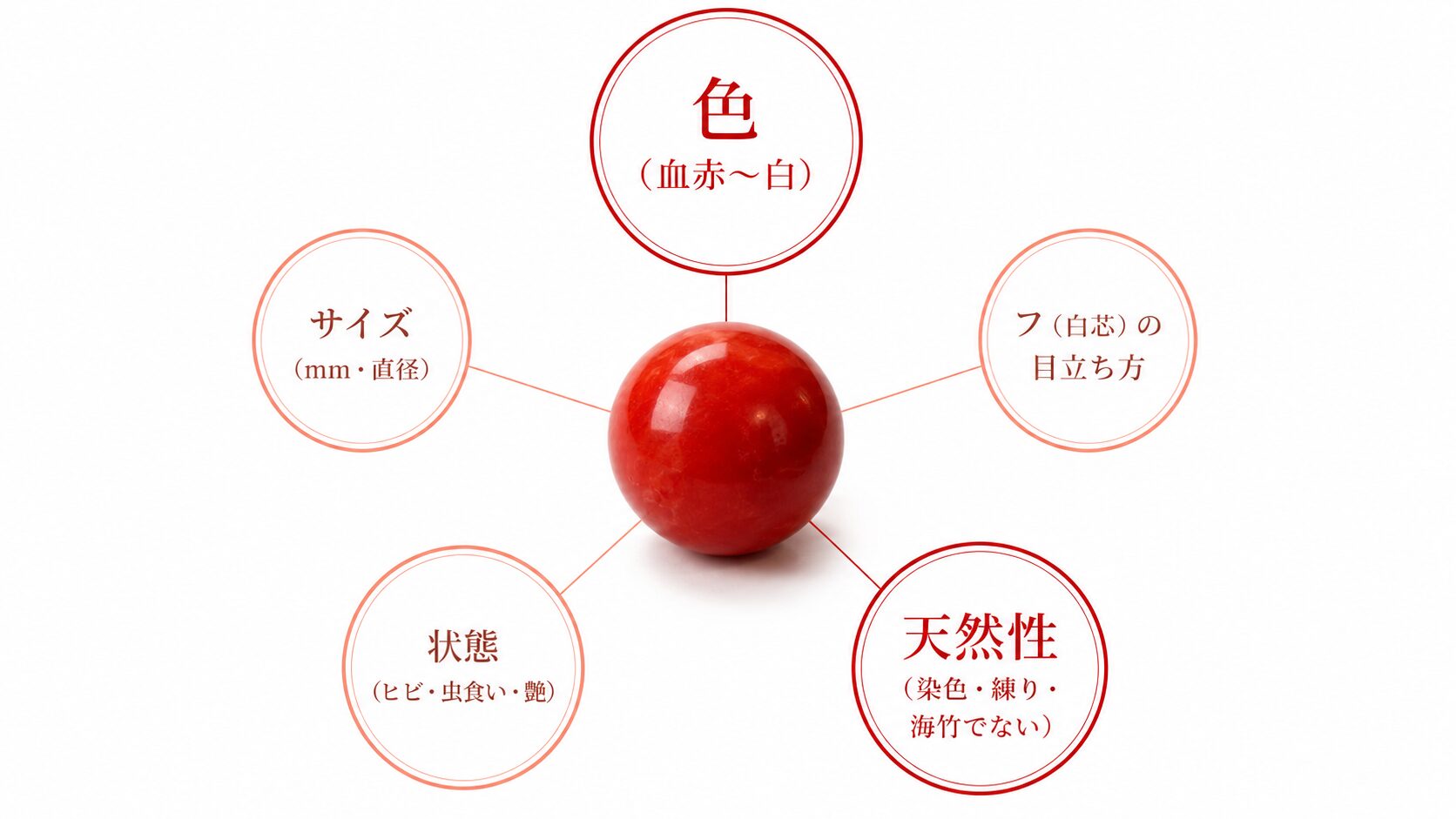 珊瑚本体の評価軸（色・サイズ・フ・状態・天然性）を整理し、色と天然性を中心に評価することを示した図解。