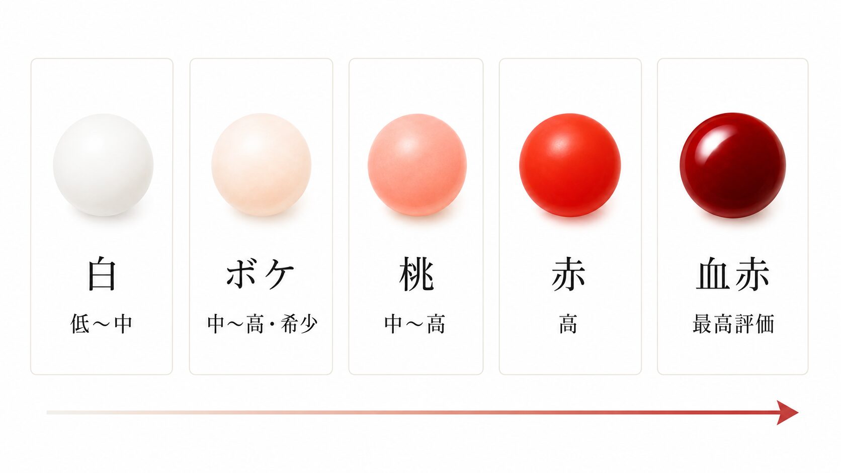 白珊瑚・ボケ珊瑚・桃色珊瑚・赤珊瑚・血赤珊瑚の5段階を色で並列比較し、血赤が最高評価になることを示した画像。