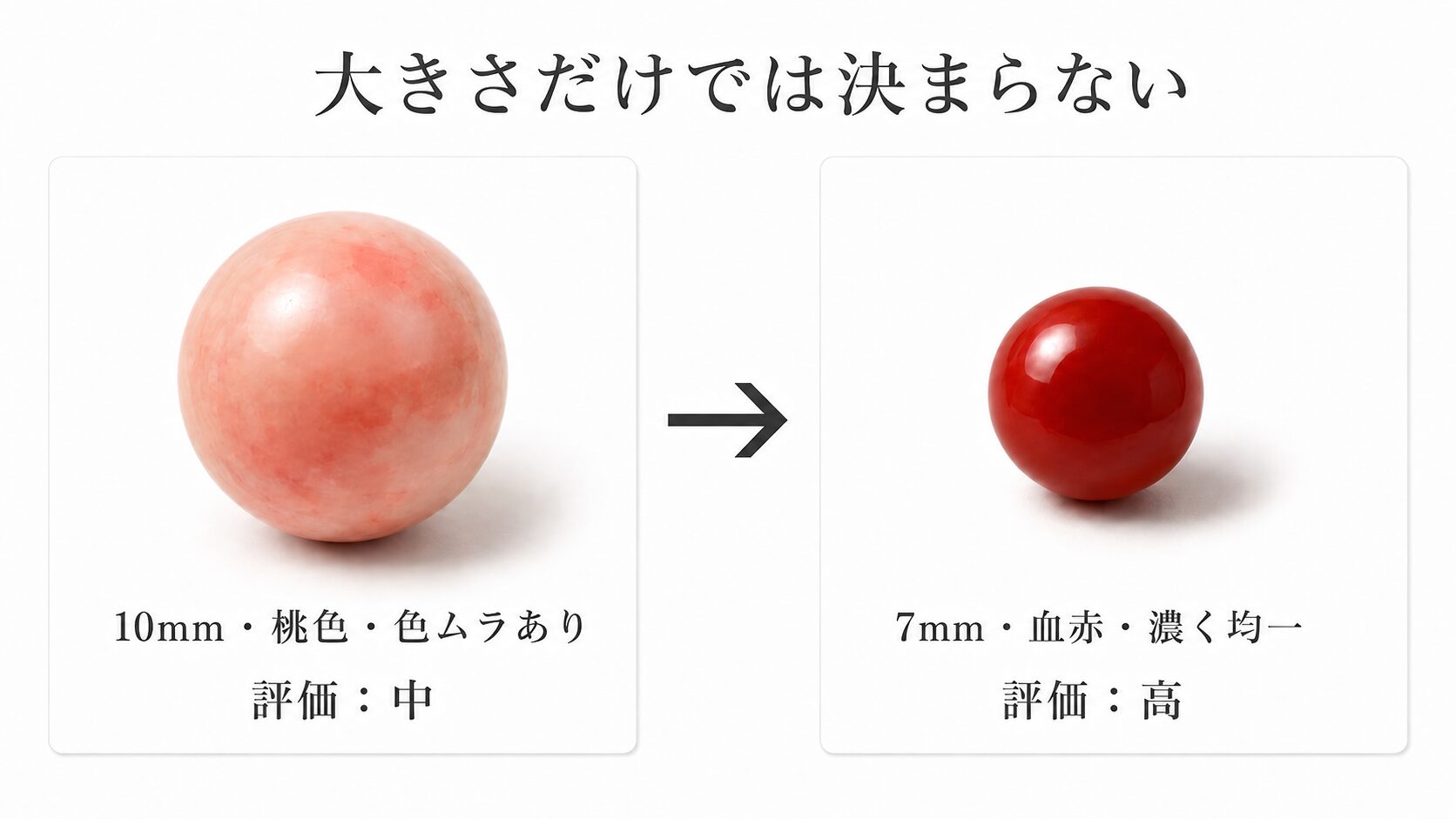 10mmで色ムラのある桃色珊瑚と7mmで色が濃く均一な血赤珊瑚を並べ、小粒の血赤が高評価になる相場逆転を示す比較画像。