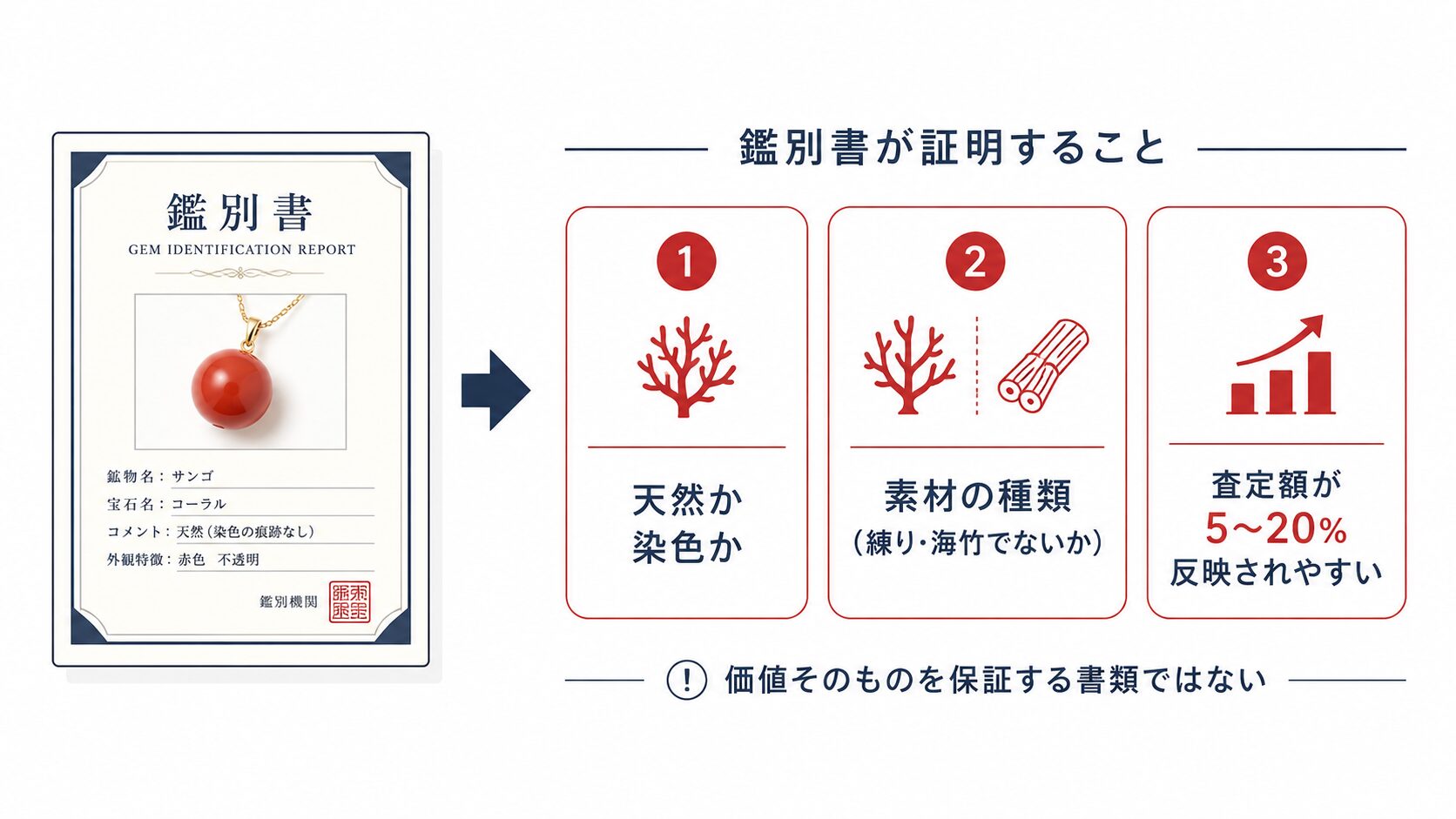 珊瑚の鑑別書と宝石サンゴ・造礁サンゴの違い｜海外取引の注意 珊瑚の