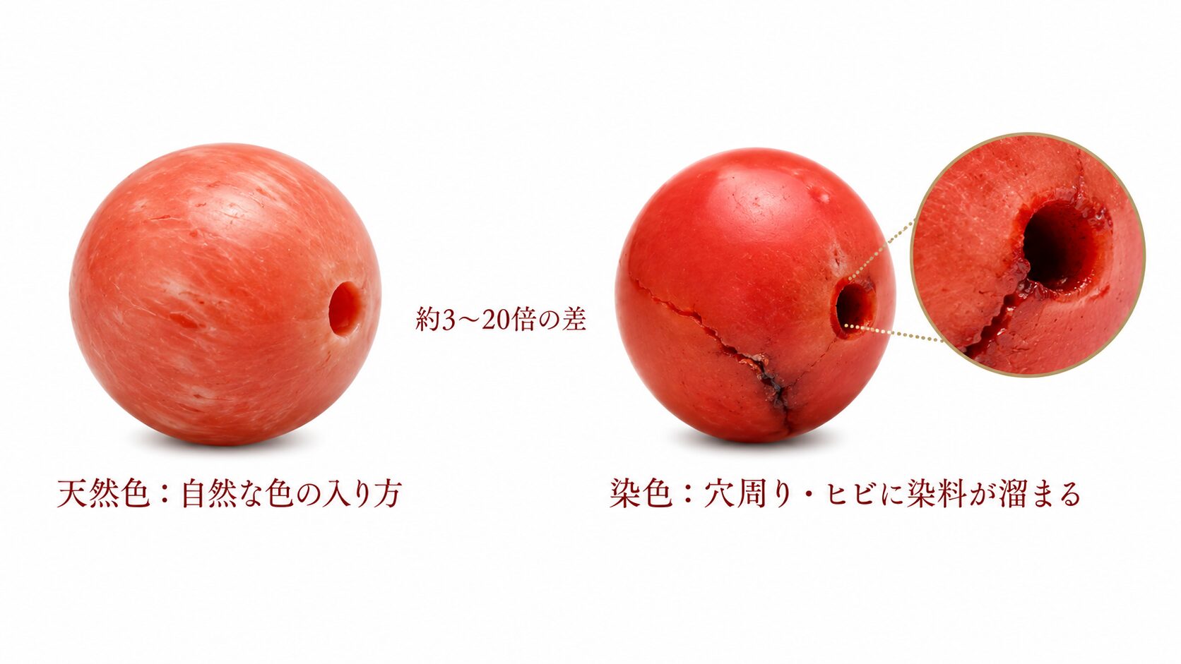 珊瑚の本物と模造の見分け方｜天然・染色・練り・海竹で評価が3〜100倍