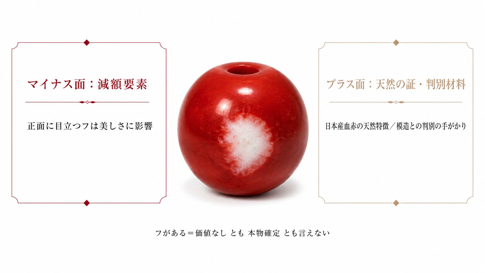 珊瑚のフ（白芯）が減額の要素になる一方で、日本産血赤の天然特徴にもなり判別材料にもなる二面性を示した図解。