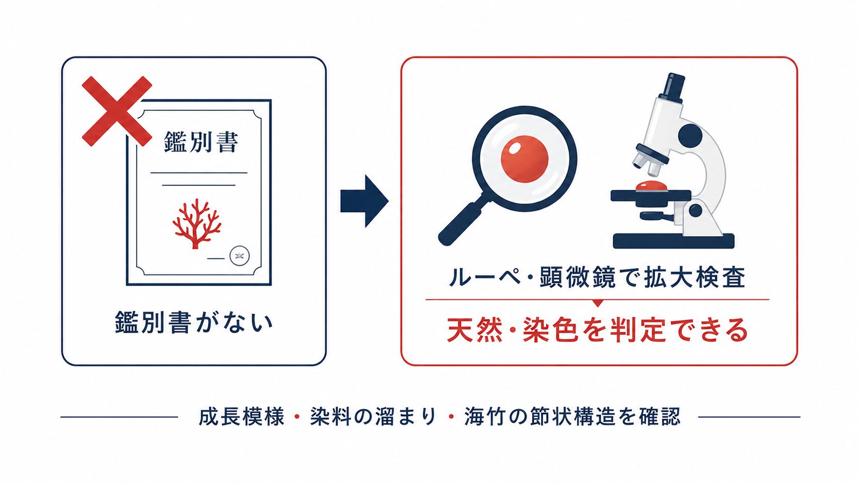鑑別書がない珊瑚でも、10倍ルーペや顕微鏡の拡大検査で天然・染色を判定できることを示した図解。
