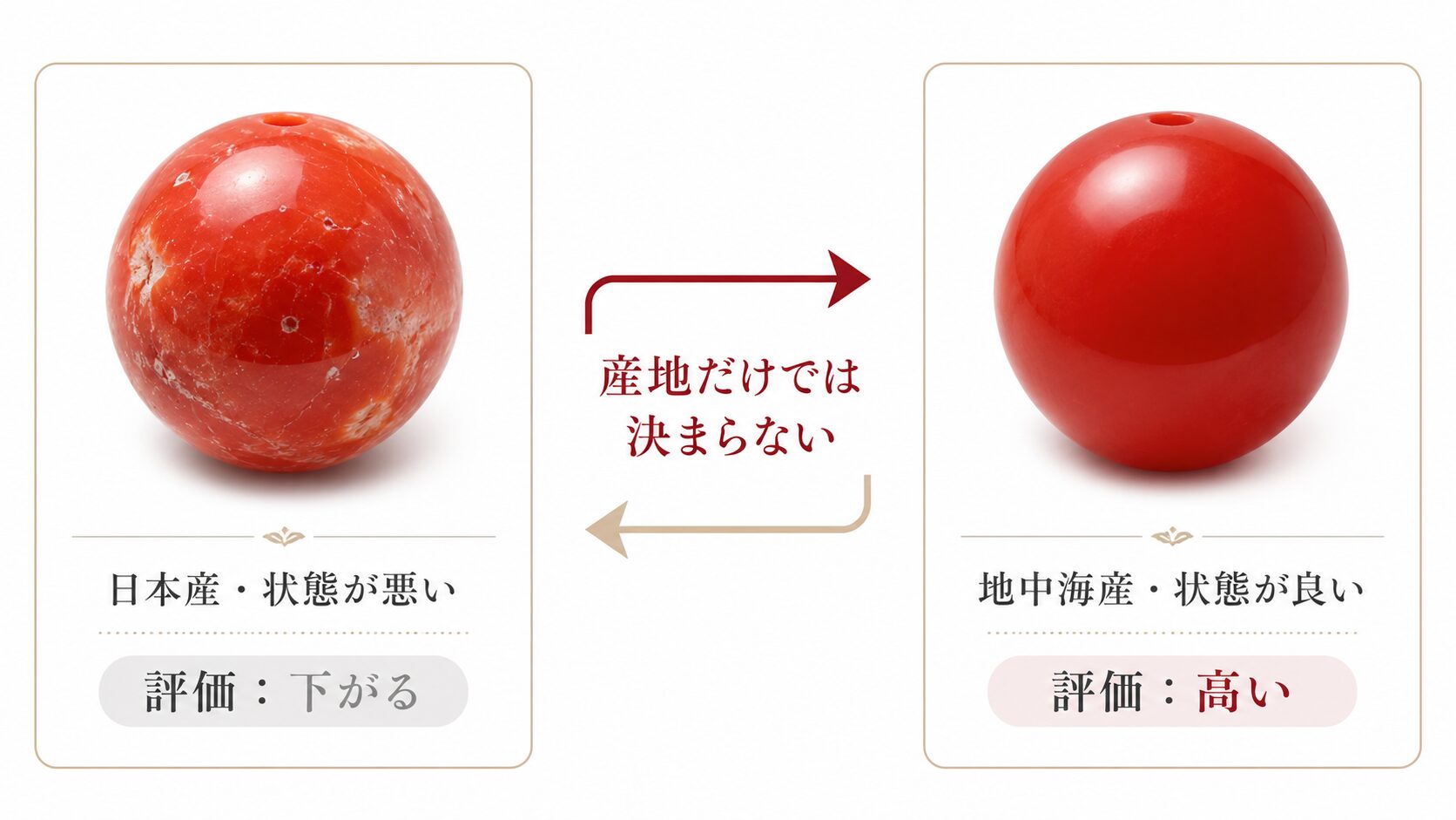 日本産血赤珊瑚と地中海産赤珊瑚の違い｜サルジ・トスとフ（白芯