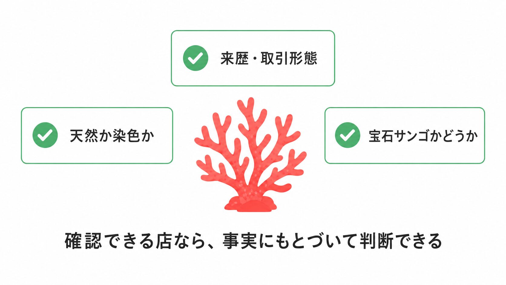 珊瑚の鑑別書と宝石サンゴ・造礁サンゴの違い｜海外取引の注意 珊瑚の
