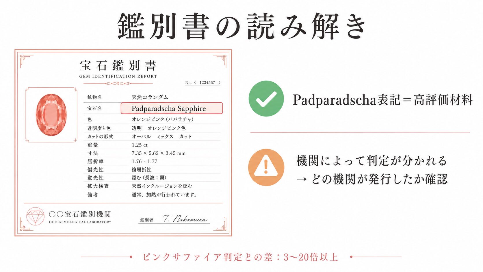 鑑別書のPadparadscha表記の位置と、機関によって判定が分かれる可能性を示す図。